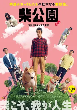 国产福利在线观看精品
