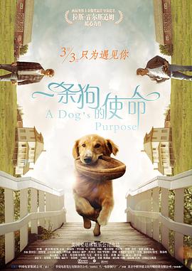 欧美粉嫩metartvideo