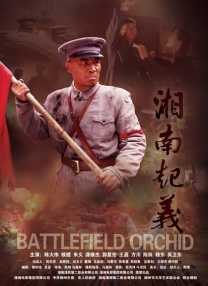 91久娇草