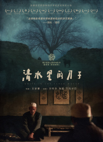 99精品久久久久久