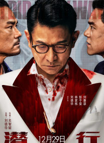 网站无遮挡