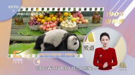 像我的家人